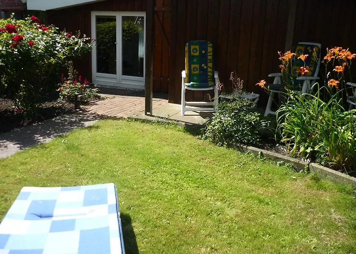 Lachmoewe Wesselburen