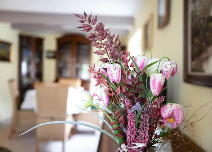 Casa vacanze Lachmoewe *